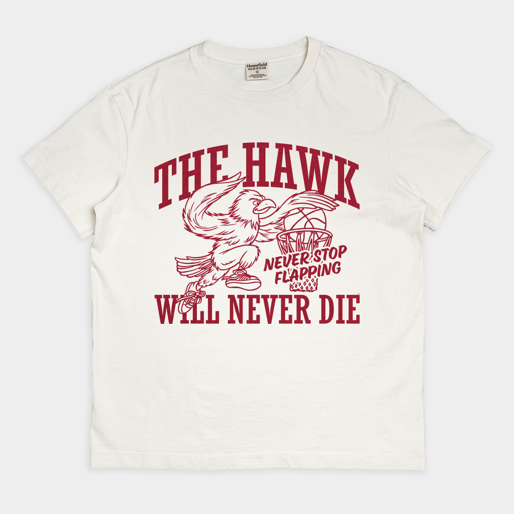 Saint Joseph's "The Hawk Will Never Die" Heavyweight Tee Hoodie, Sweatshirt | PureTeeCo.com