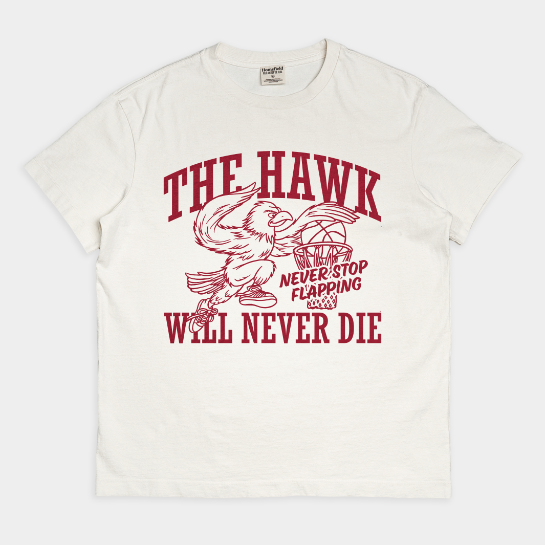 Saint Joseph's "The Hawk Will Never Die" Heavyweight Tee Hoodie, Sweatshirt | PureTeeCo.com