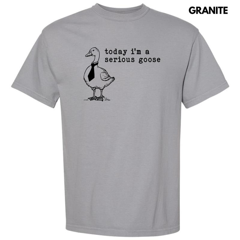 Serious Goose Comfort Colors T-Shirt 'NLB' Hoodie, Sweatshirt | PureTeeCo.com