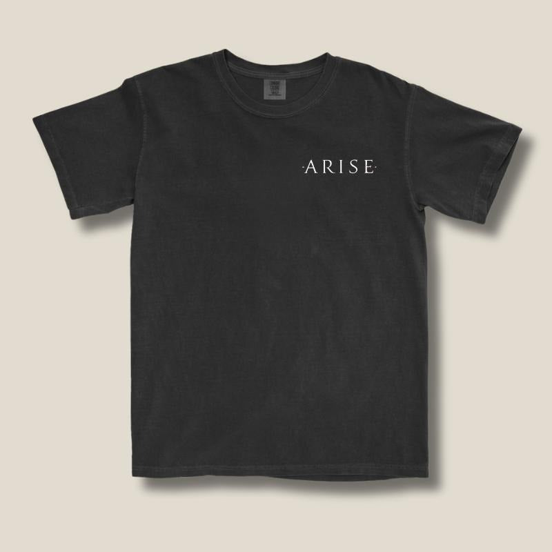 Subtle Solo Leveling Inspired Tee, Arise Anime Shirt, Subtle Anime Merch, Comfort Colors, Aesthetic Gift for Anime Fans...