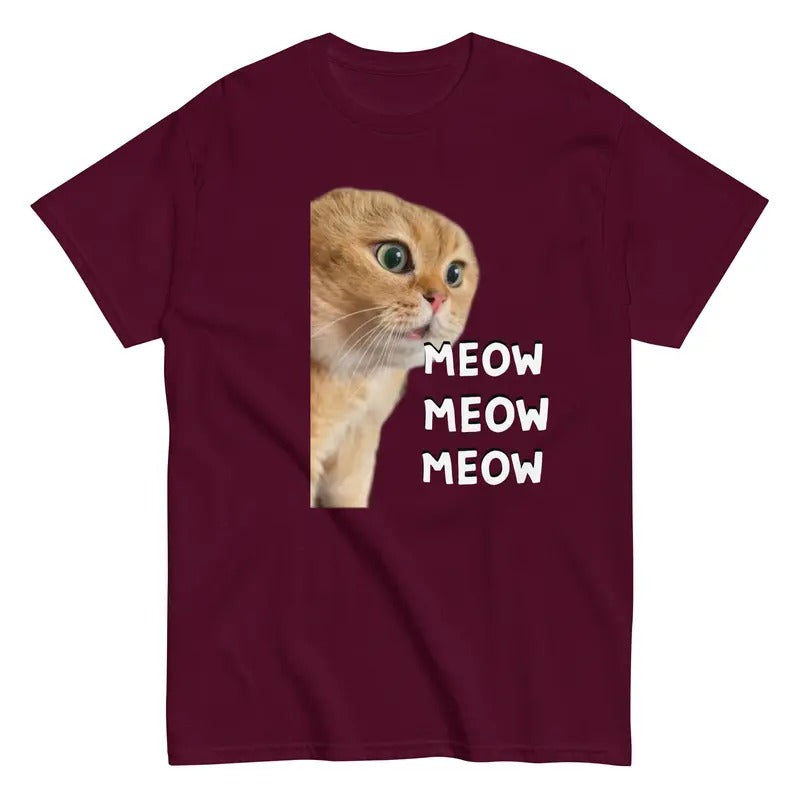Talking Meme Cat Viral Video Funny Cat  sweater and hoodie T-Shirts, Sweatshirt | PureTeeCo.com