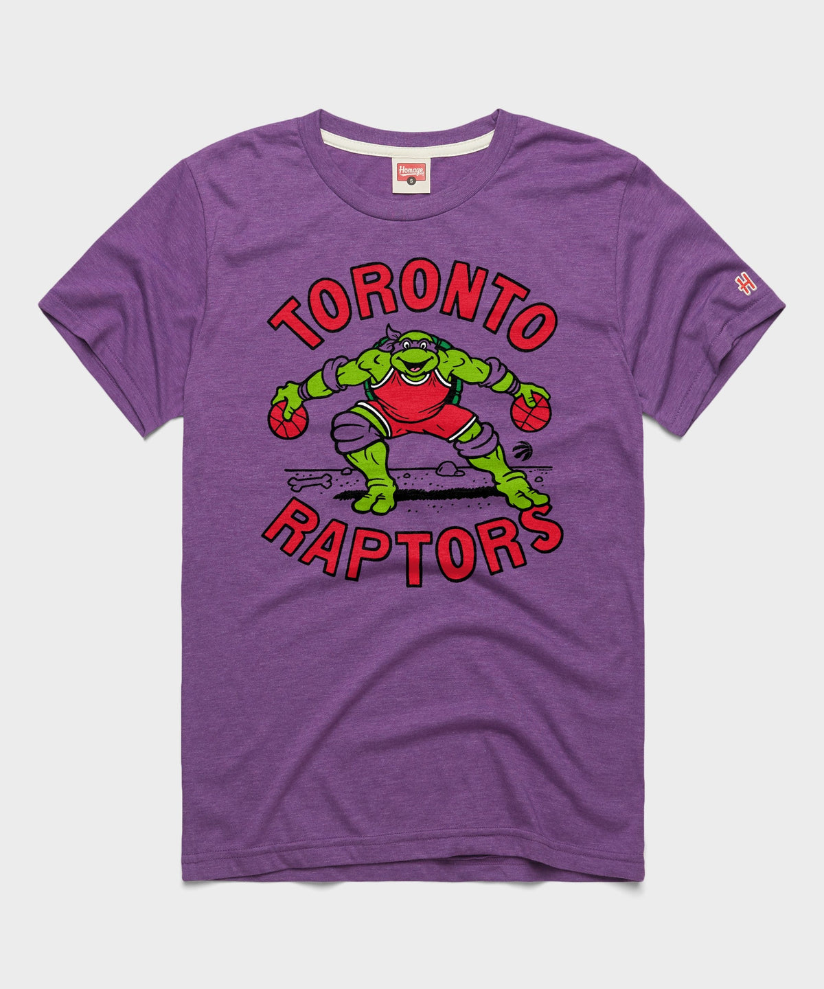 TMNT Donatello X Toronto Raptors