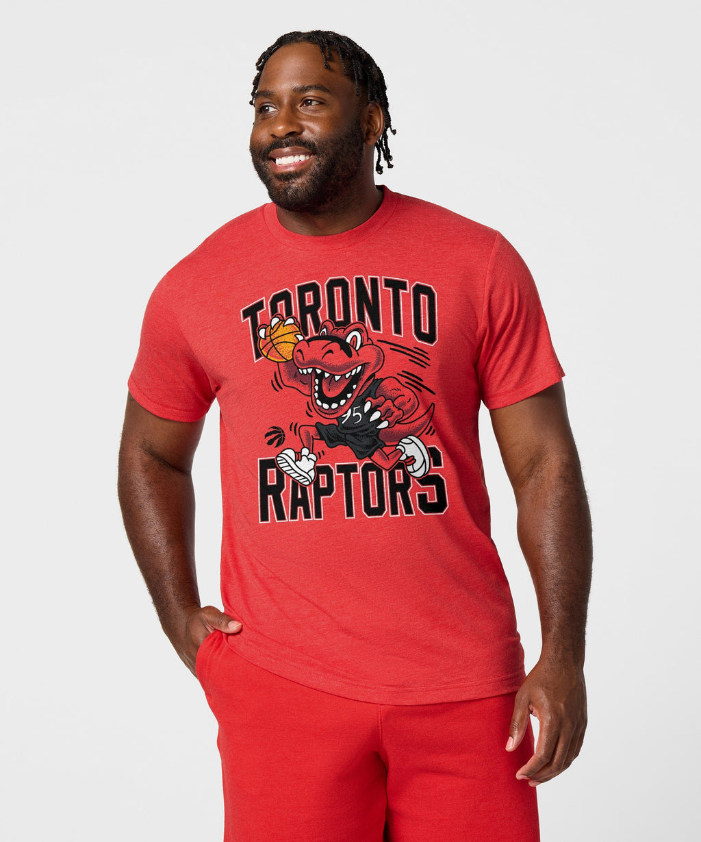 Toronto Raptors The Raptor