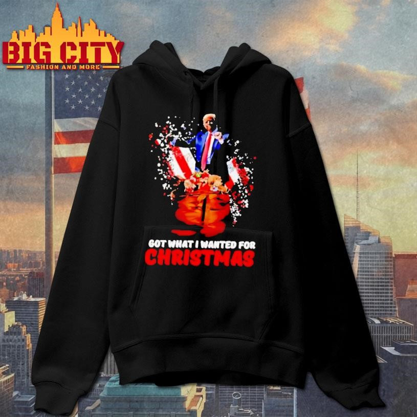 Trump Got What I Wanted For Christmas Stylish Shirt