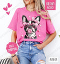 Valentine Boston Terrier Shirt Gildan, Valentine's Day Women's Tee, Cute Women's Tshirt Plus Sizes Hoodie, Sweatshirt