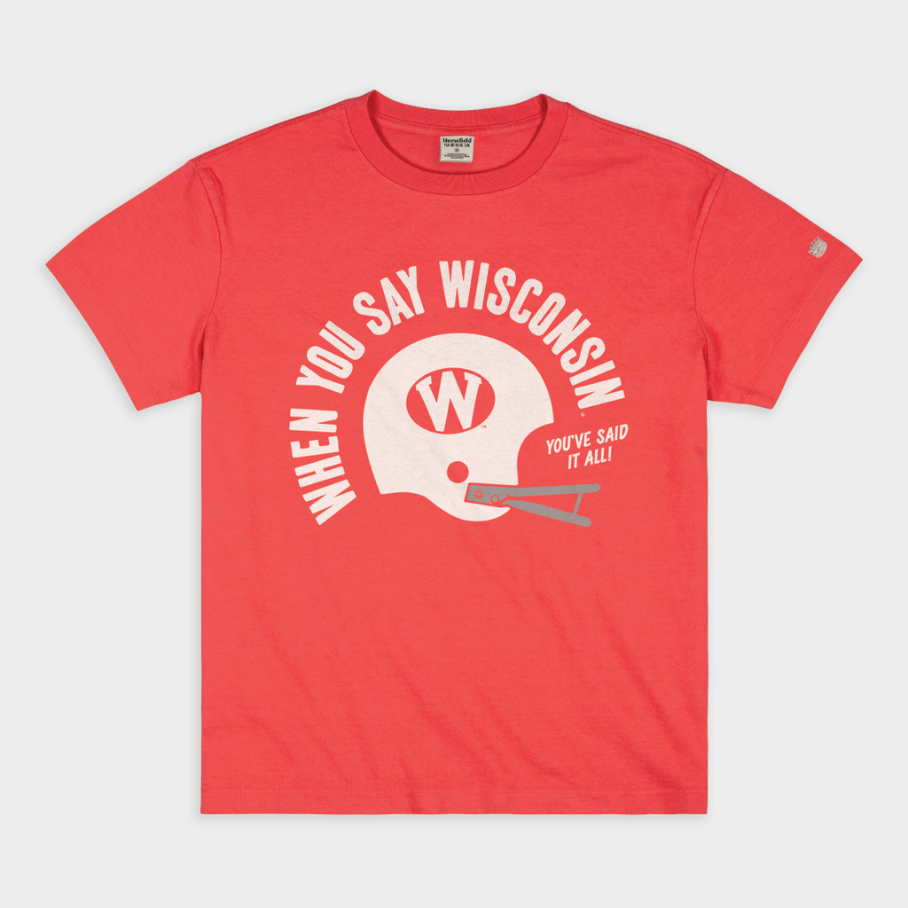 When You Say Wisconsin Vintage Heavyweight Tee Hoodie, Sweatshirt | PureTeeCo.com (Image 1)