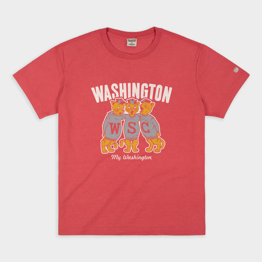 Washington State Singing Cougars Vintage Heavyweight Tee Hoodie, Sweatshirt | PureTeeCo.com
