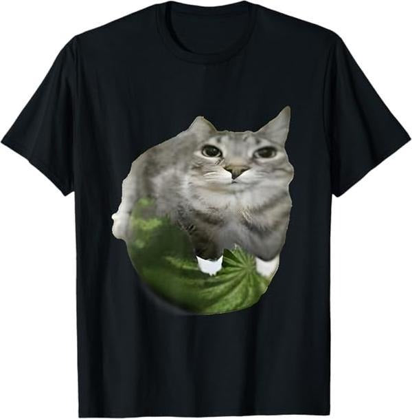 Watermelon Cat Silly Cat Meme T-Shirt Hoodie, Sweatshirt | PureTeeCo.com