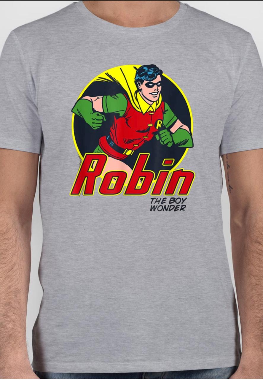 Robin Boy Wonder T-shirt Hoodie, Sweatshirt | PureTeeCo.com