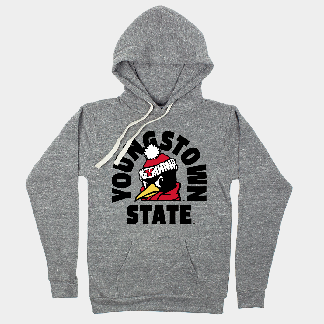Youngstown State Penguins Hoodie Style001 T-Shirts, Sweatshirt | PureTeeCo.com