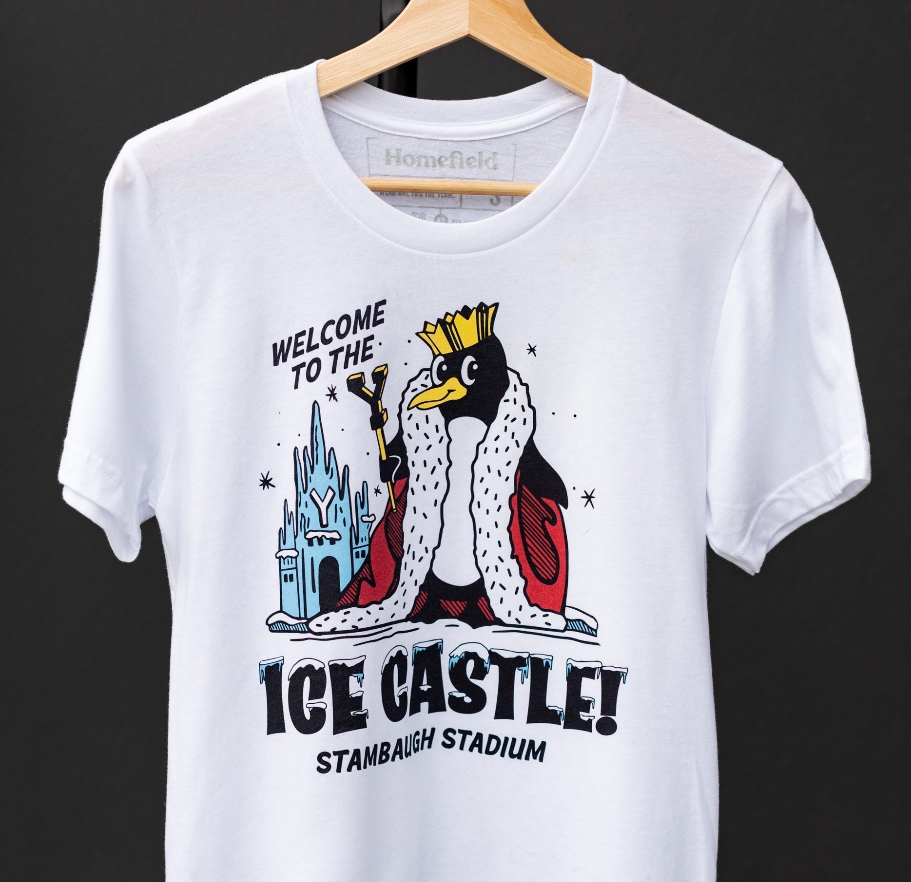 Youngstown State Ice Castle Tee Style001 Hoodie, Sweatshirt | PureTeeCo.com (Image 2)