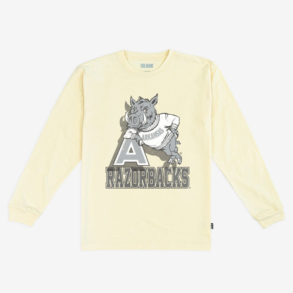 Arkansas Monochromatic L/S Tee Hoodie, Sweatshirt | PureTeeCo.com
