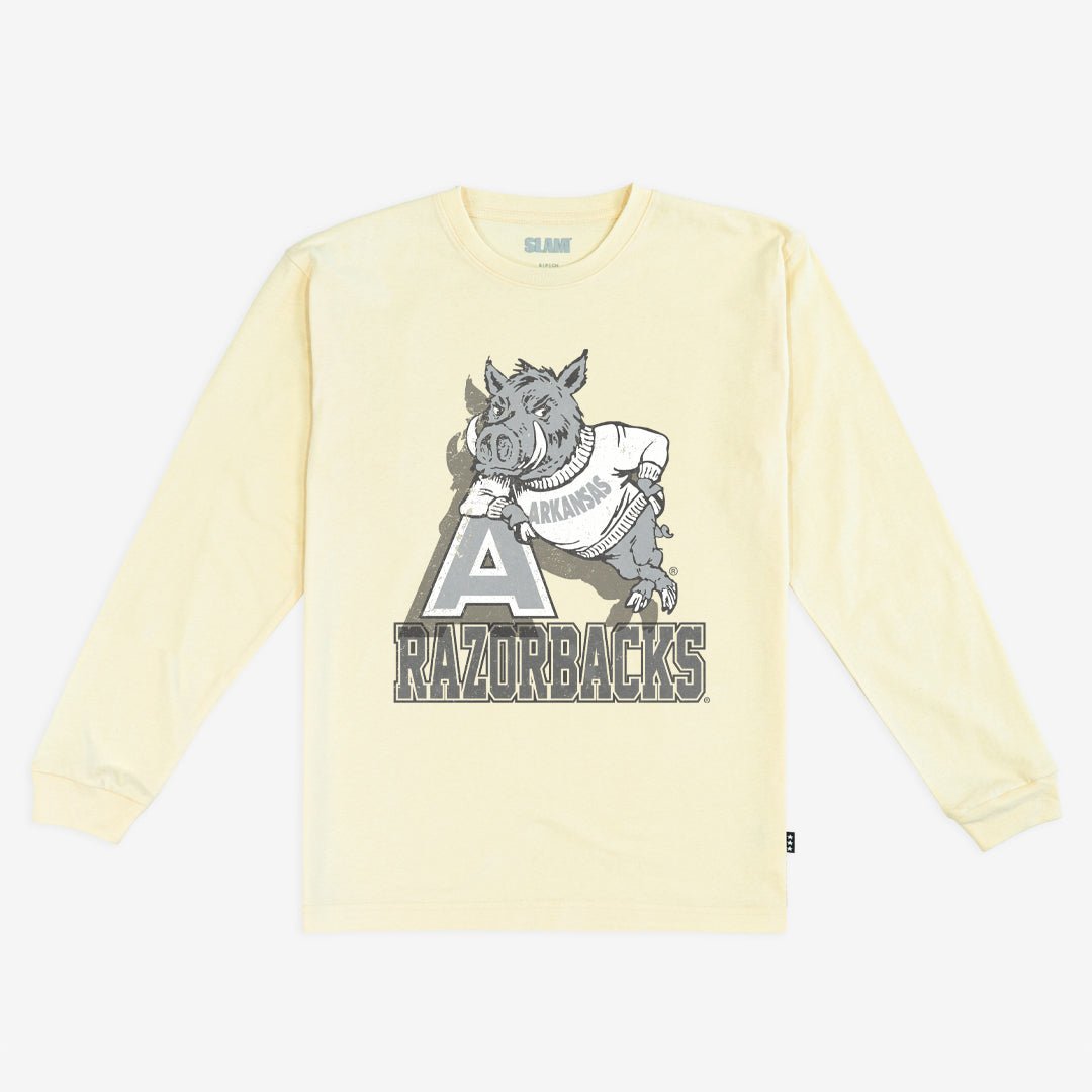 Arkansas Monochromatic L/S Tee Hoodie, Sweatshirt | PureTeeCo.com