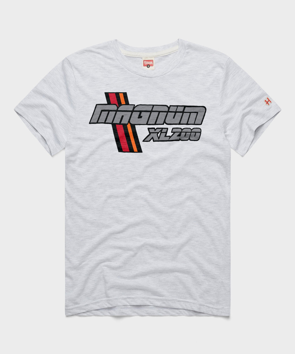 Cedar Point Magnum XL-200 Stripes