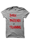 Dark Phoenix At Training T-Shirt Hoodie, Sweatshirt | PureTeeCo.com