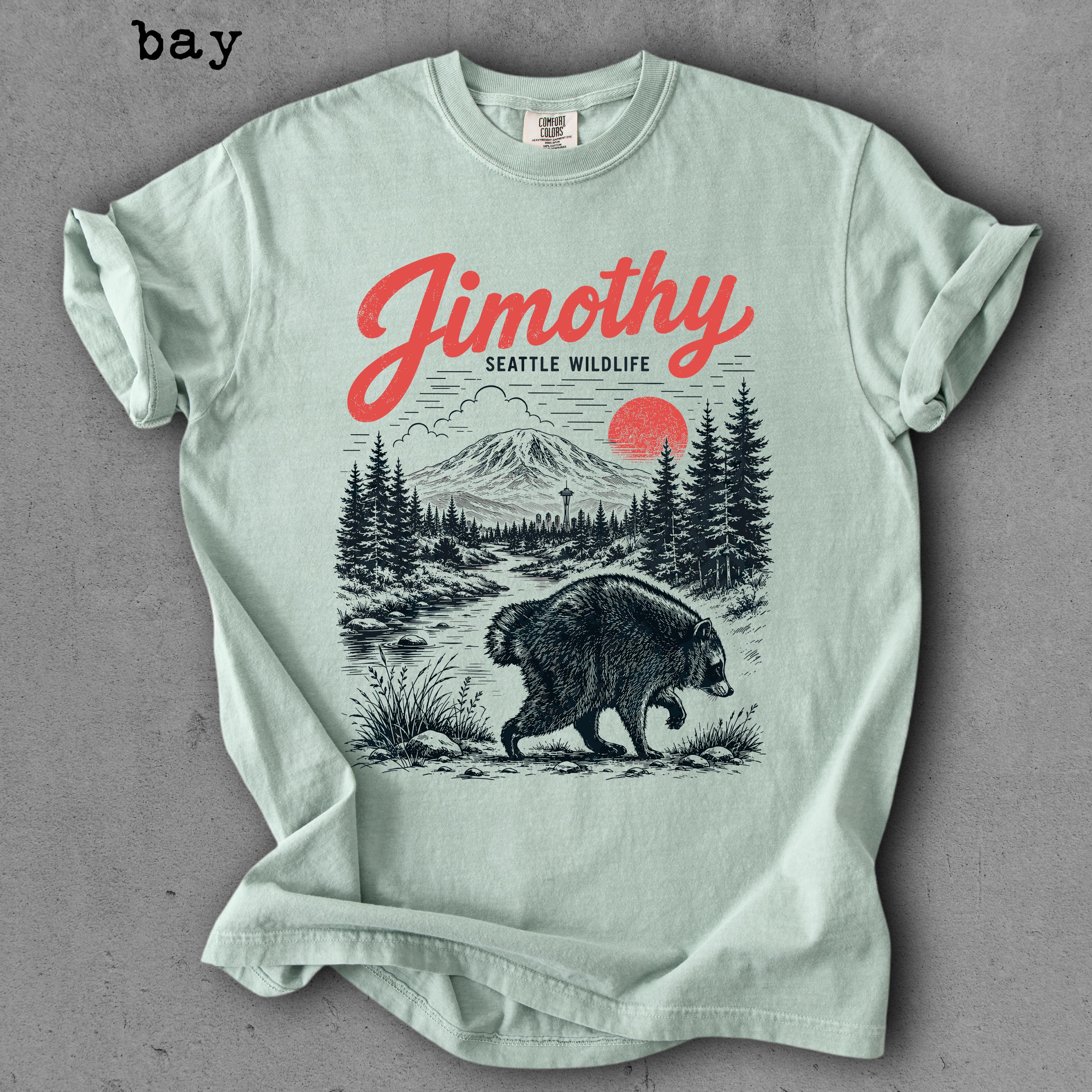 Jimothy Raccoon Seattle Raccoon Tee Round King Vintage Pacific Northwest Wildlife Comfort Colors Tee (3)