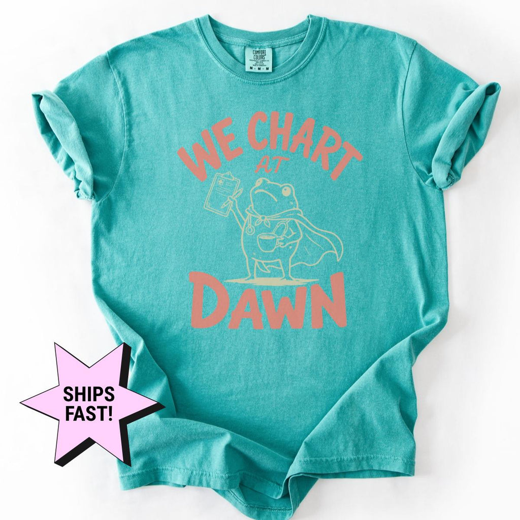 Chart Dawn Comfort Colors Nurse Tee Nursing Frog Meme Rn Charting Humor Nurses (3)