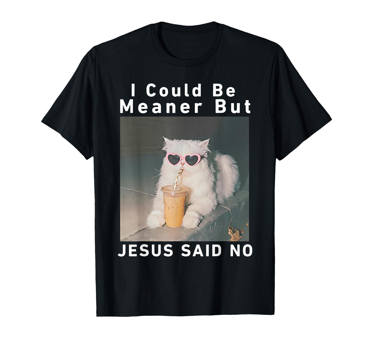 Could Meaner Jesus Said Cat Unisex T-shirt, Sweatshirt, Hoodie (1)