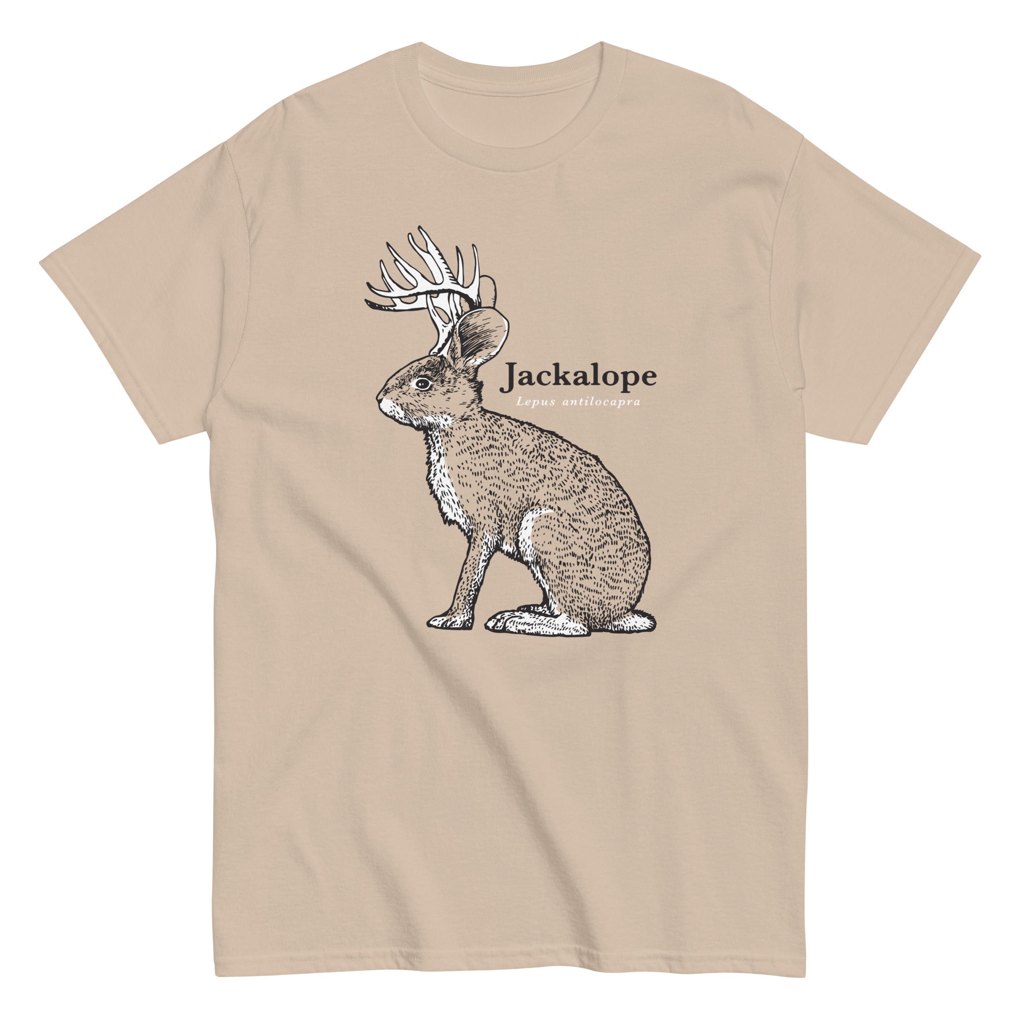 Jackalope Men's Classic Tee Hoodie, Sweatshirt | PureTeeCo.com (Image 4)