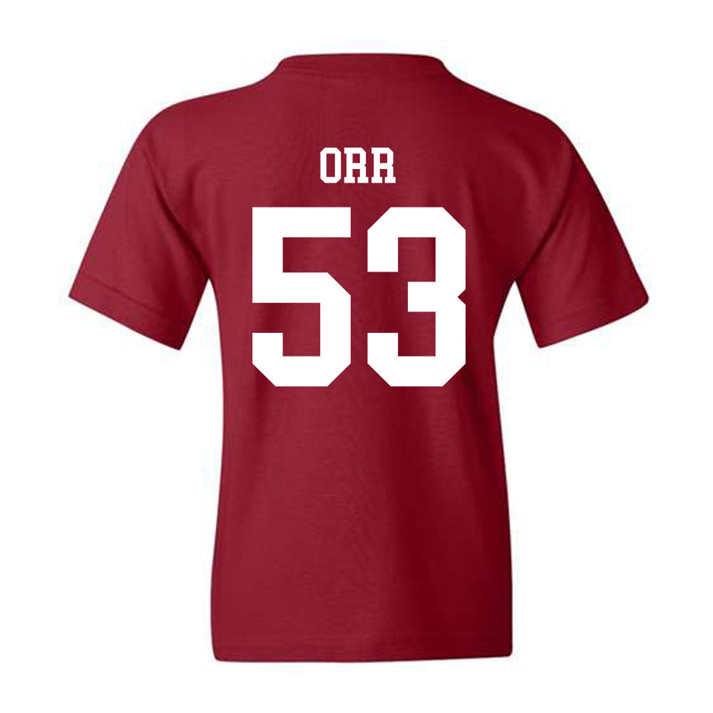 Alabama - Football Alumni : Anthony Orr - Youth T-Shirt Hoodie, Sweatshirt | PureTeeCo.com (Image 2)