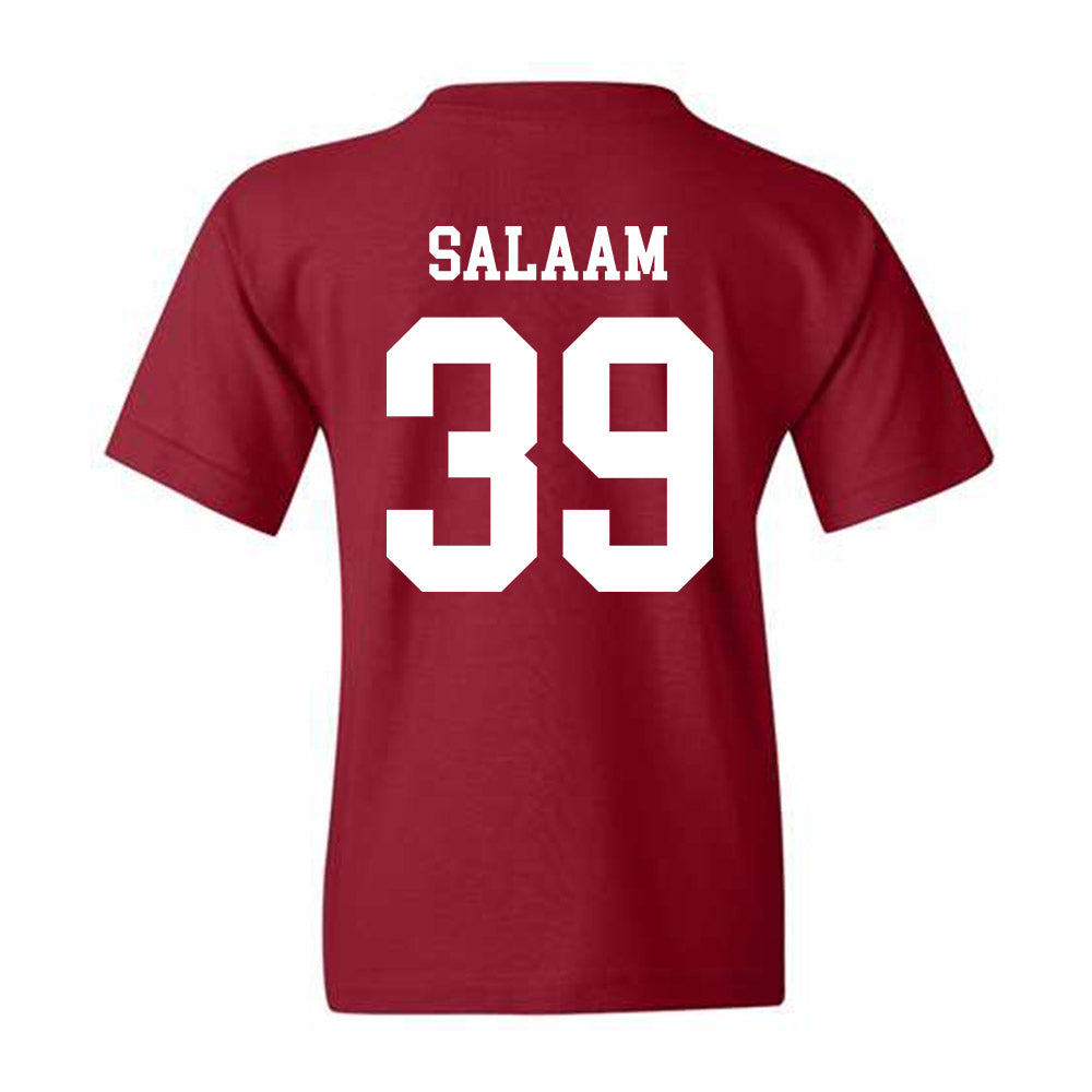 Alabama - Football Alumni : Darwin Salaam - Youth T-Shirt Style005 Hoodie, Sweatshirt | PureTeeCo.com (Image 2)