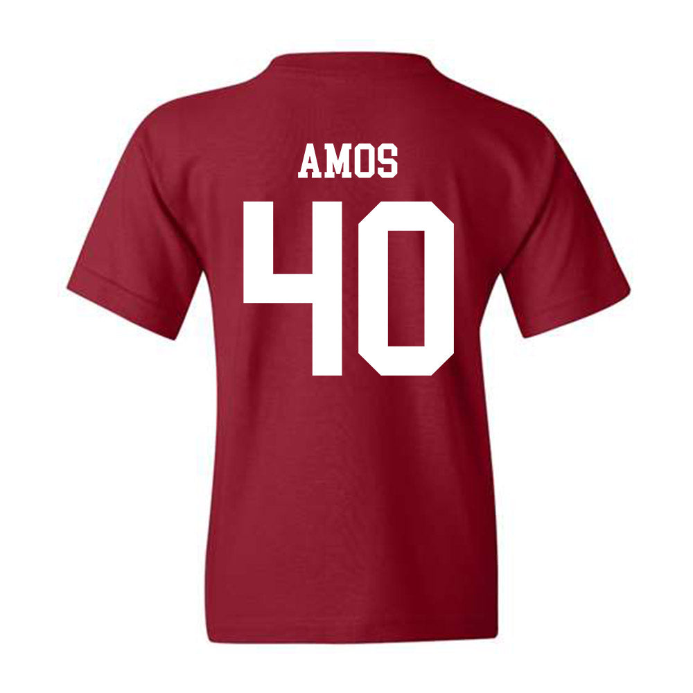 Alabama - Football Alumni : Giles Amos - Youth T-Shirt Style001 Hoodie, Sweatshirt | PureTeeCo.com (Image 2)