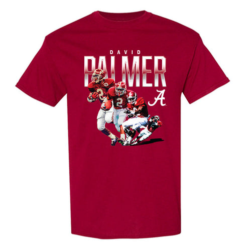 Alabama - Football Alumni : David Palmer - Player Collage T-Shirt Hoodie, Sweatshirt | PureTeeCo.com