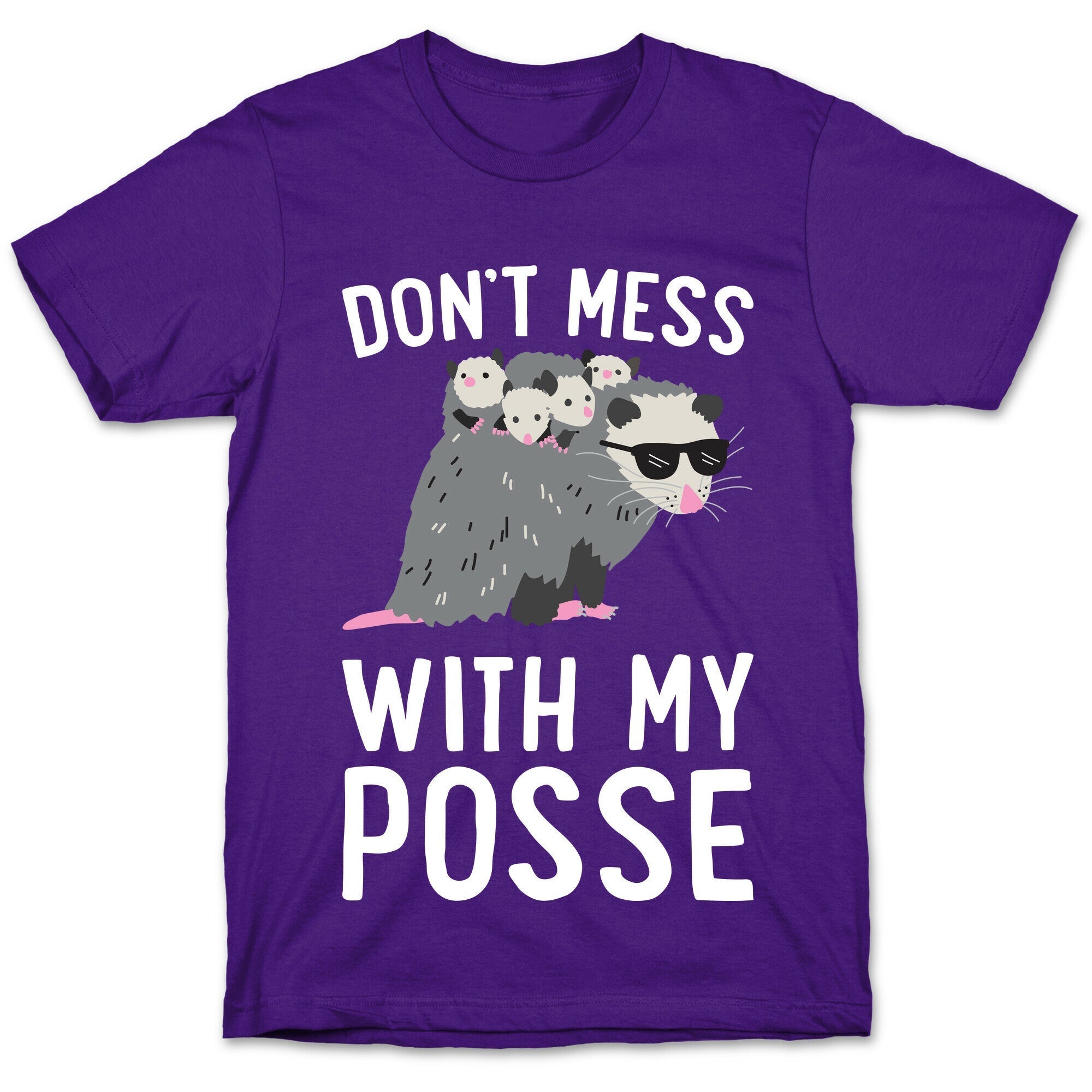 Don't Mess With My Posse Opossum T-Shirt Hoodie, Sweatshirt | PureTeeCo.com (Image 5)