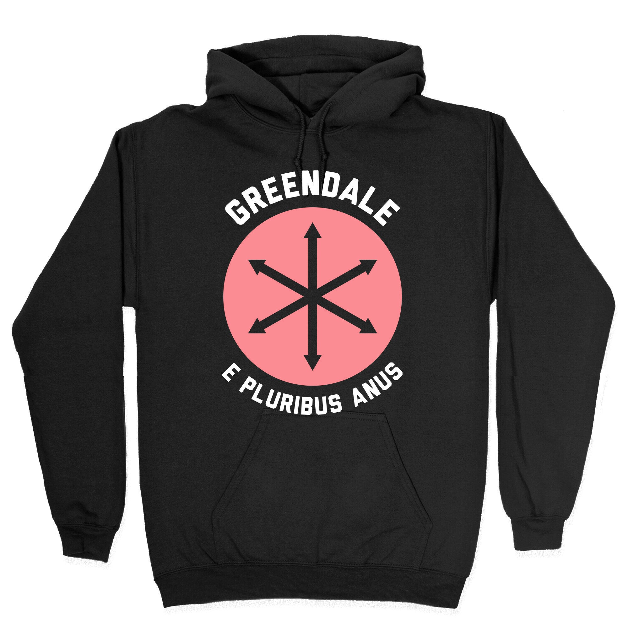 Greendale E Pluribus Anus Hoodie T-Shirts, Sweatshirt | PureTeeCo.com (Image 2)