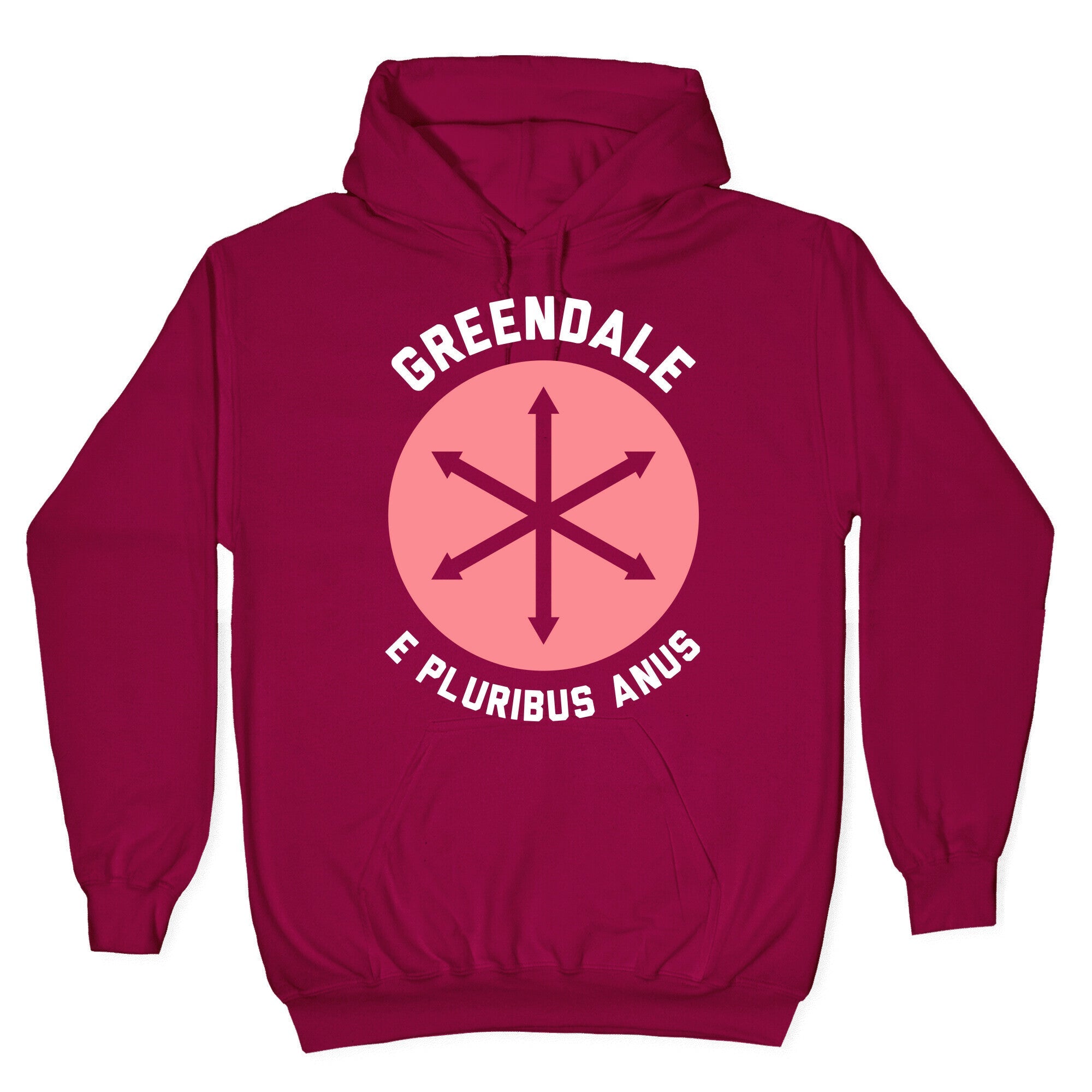 Greendale E Pluribus Anus Hoodie T-Shirts, Sweatshirt | PureTeeCo.com (Image 5)