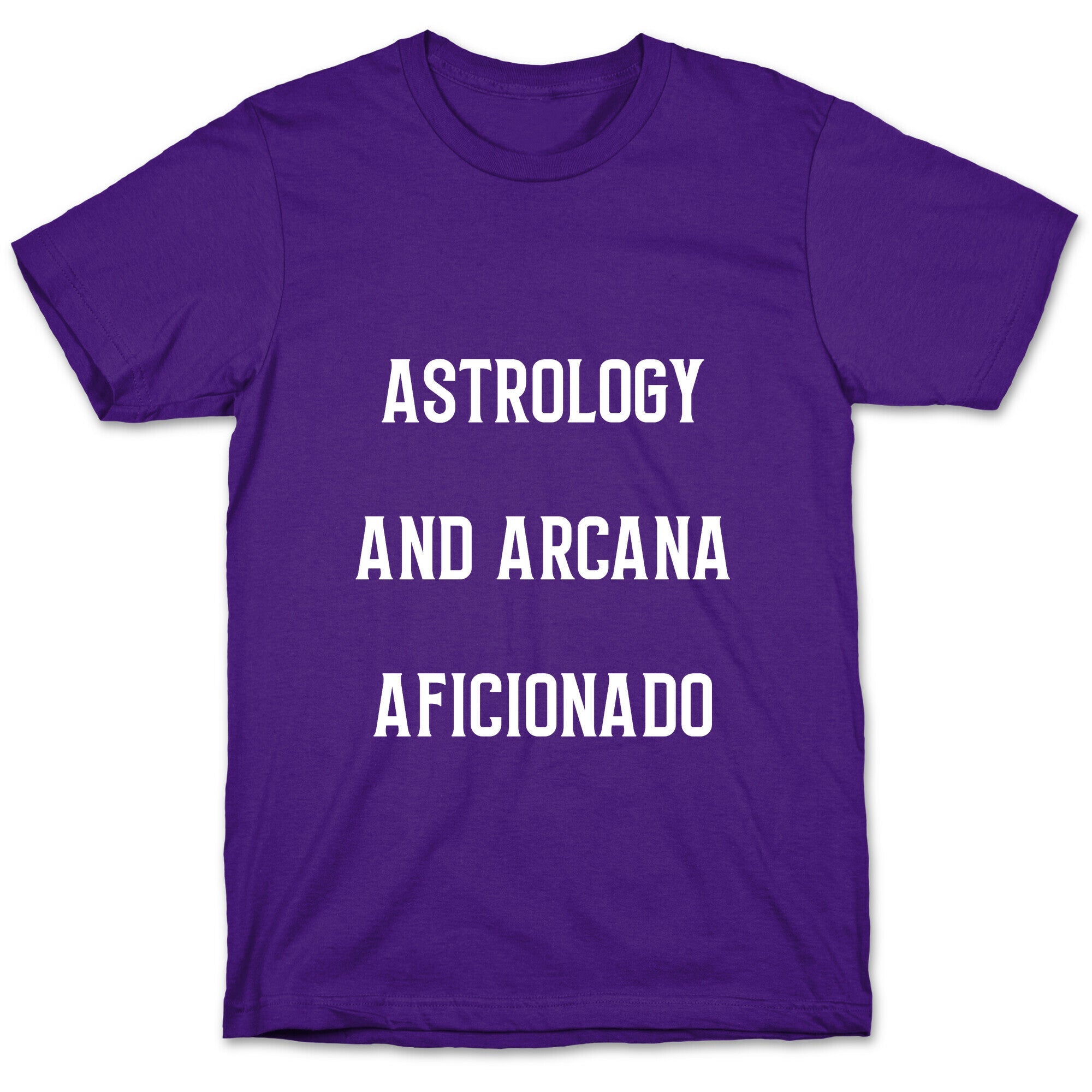 Astrology And Arcana Aficionado T-Shirt Hoodie, Sweatshirt | PureTeeCo.com (Image 5)