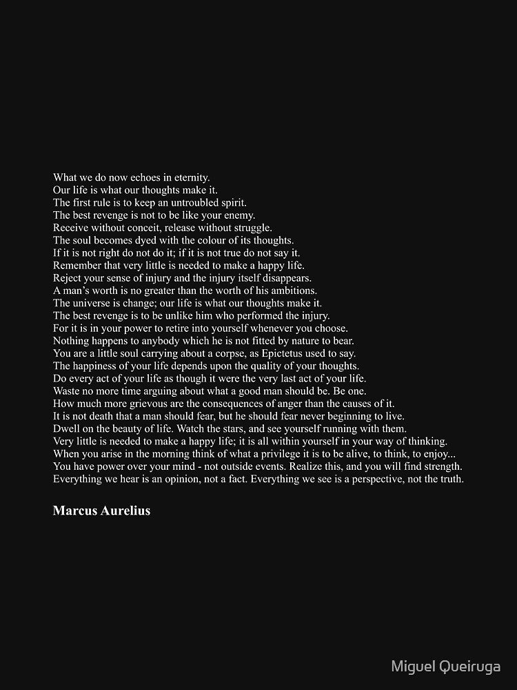 Marcus Aurelius Quotes by Miguel Queiruga