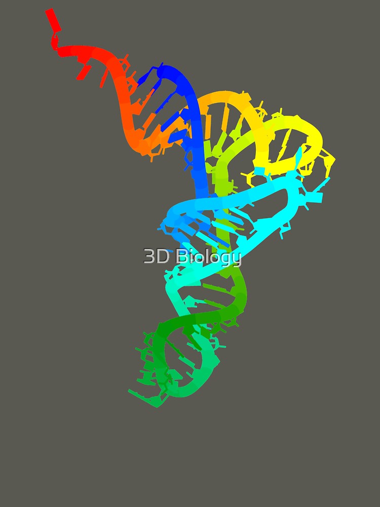 tRNA by 3D Biology