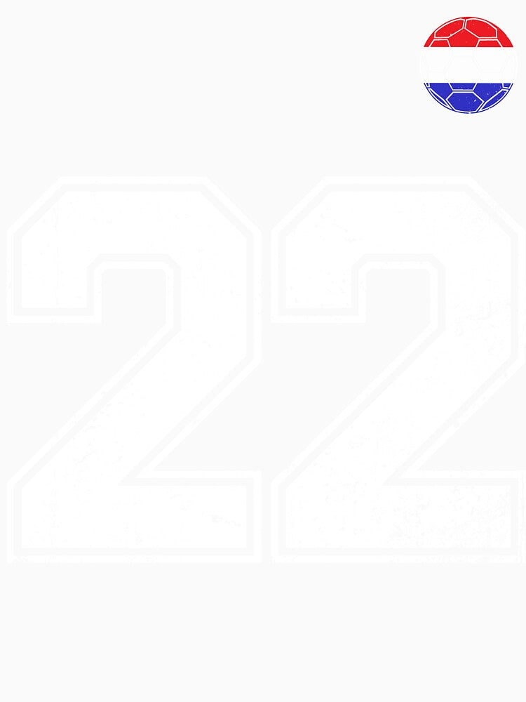 Netherlands Soccer Number 22 Vintage Sports Fan by LiviuGligoros