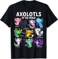 Axolotl Kawaii Axolotls of the World Axolotl Animals T-Shirt Image 1 of 4