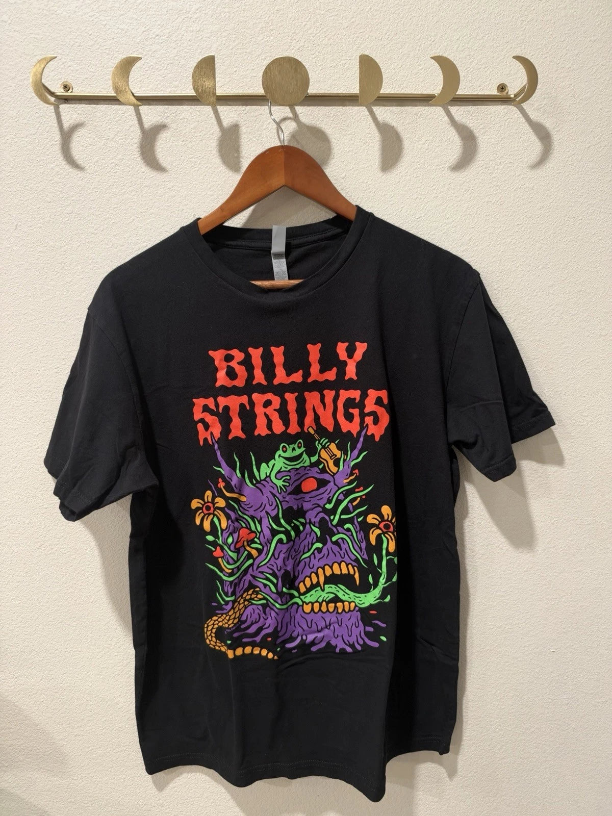 Billy Strings 2023 Fall Tour Mushroom Skull Frog Shirt - Large, Unisex