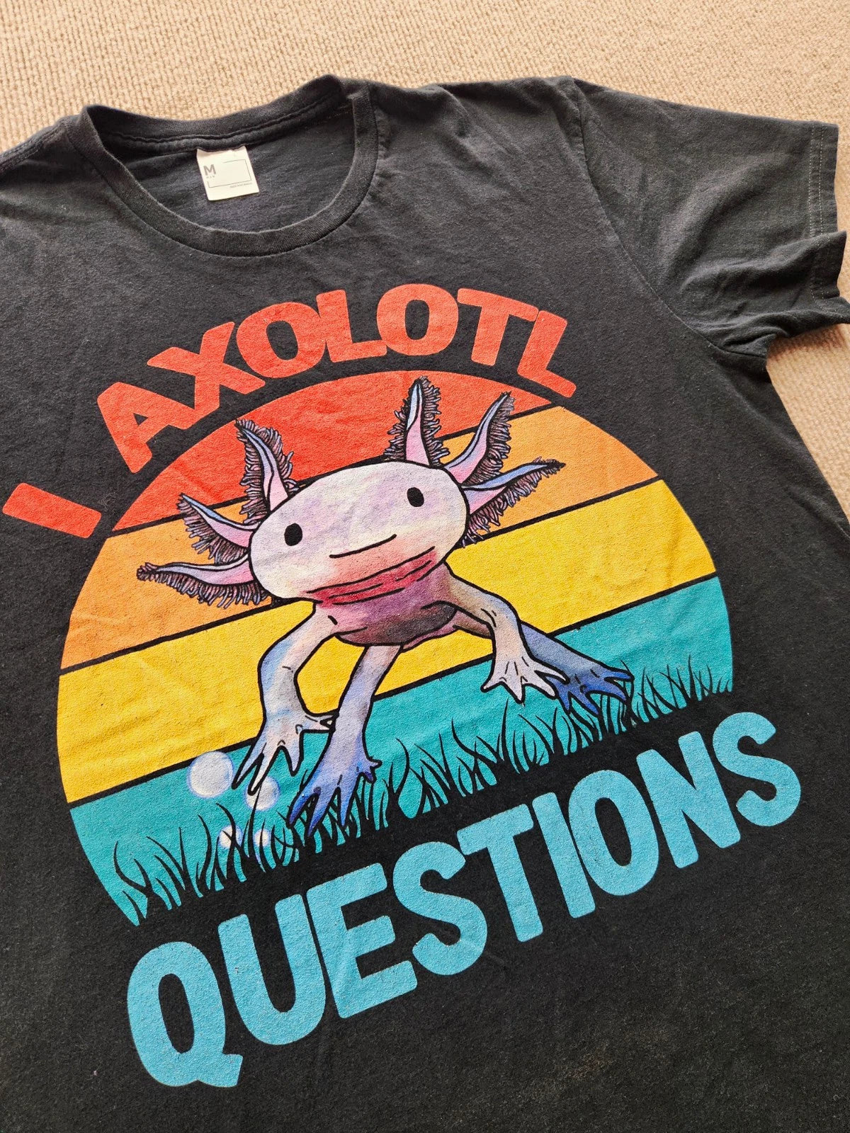Men's Size M Black Graphic Print Axolotl "I Axolotl Questions" T-Shirt