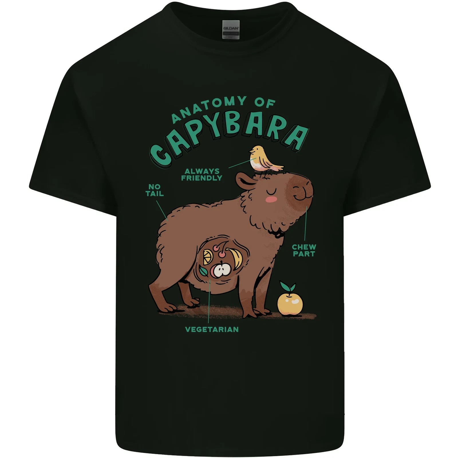 Anatomy of a Capybara Funny Mens Cotton T-Shirt Tee Top