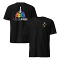 Washington DC Pride Shirt LGBTQ Rainbow Tee DC Gay Pride T Shirt