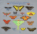 NORTH AMERICAN LEPIDOPTERA-Butterflies Moths Insects Nature Science T shirt S-2X