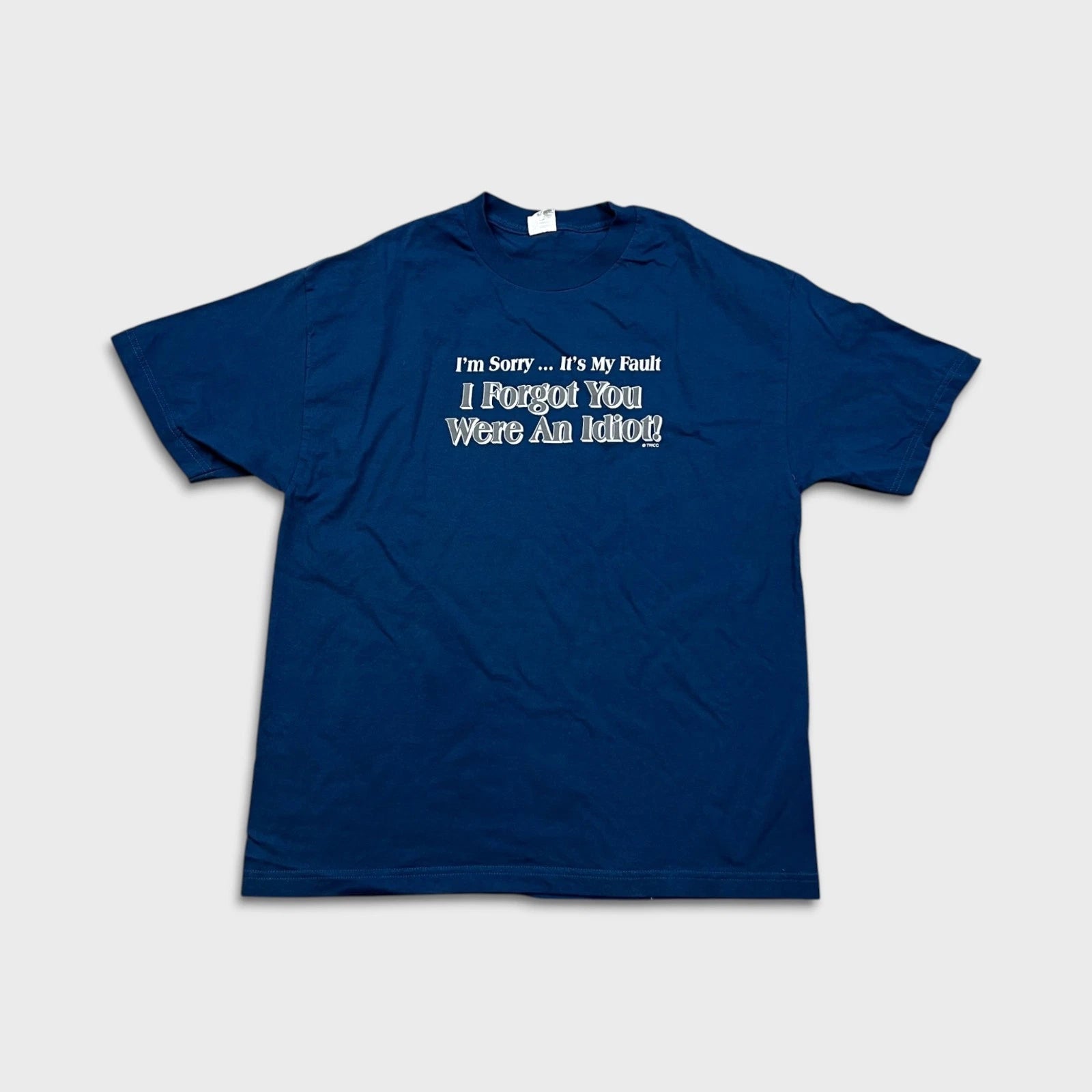 Vintage I'm Sorry I Forgot You Were An Idiot T Shirt Mens XL Blue Funny Y2K Tee