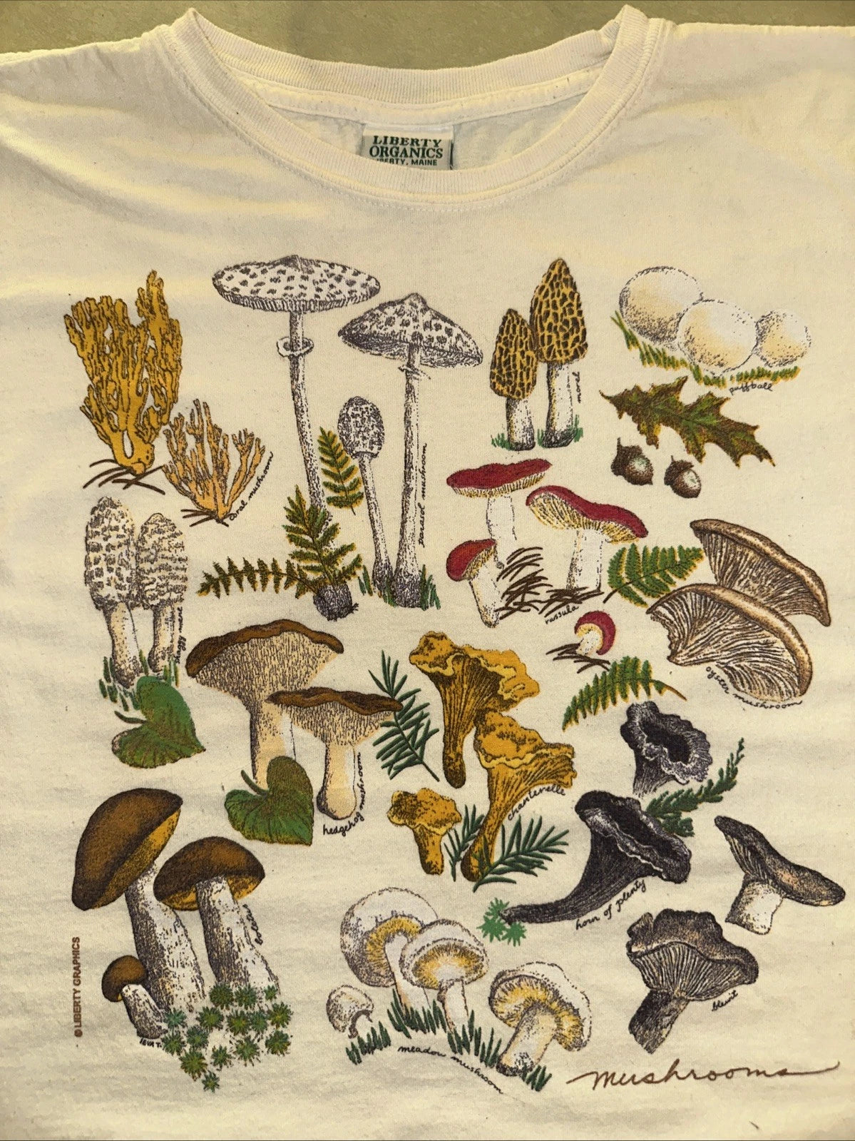 Early Y2K Mushroom Shirt Size Medium 21.5 X 25 Tee Shirt