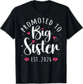 Becoming Big Sister Promoted to Big Sis 2026 Adults Kids T-Shirt