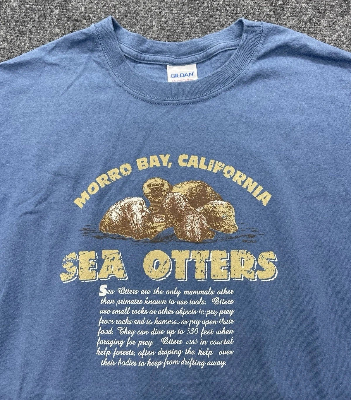 Vintage Monterey Bay Aquarium T-Shirt Mens XL Blue Sea Otter Marine Nature 90s