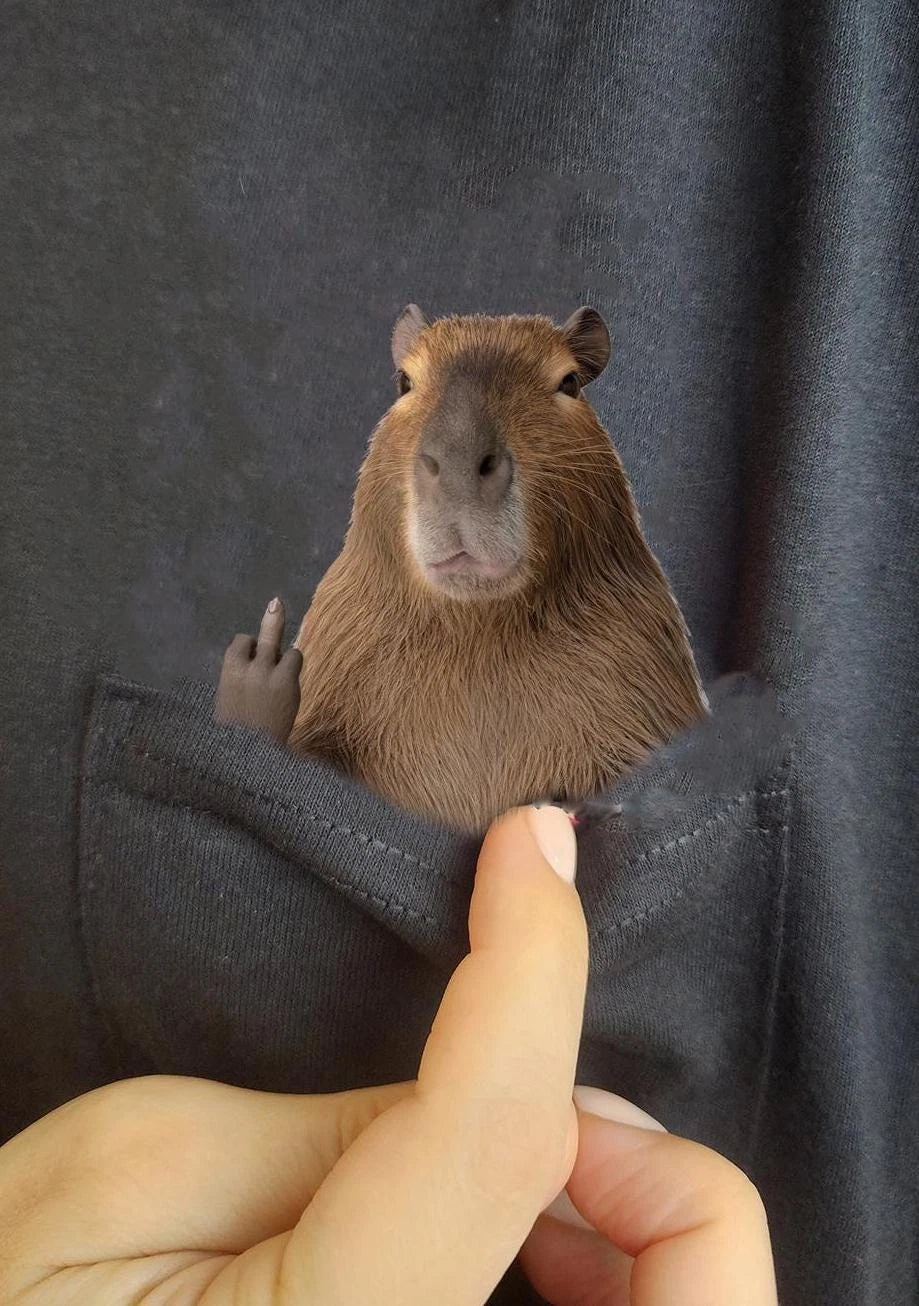 Funny Capybara Shirt - Humor Capybara Hidden Middle Finger Pocket - Capybara Image 1 of 4