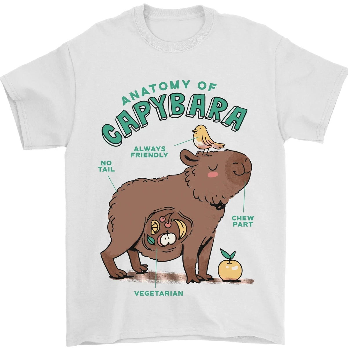 Anatomy of a Capybara Funny T-Shirt Size S-4XL