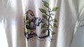 R Crumb T-Shirt Mr Natural nurturing community new small tan cotton free ship