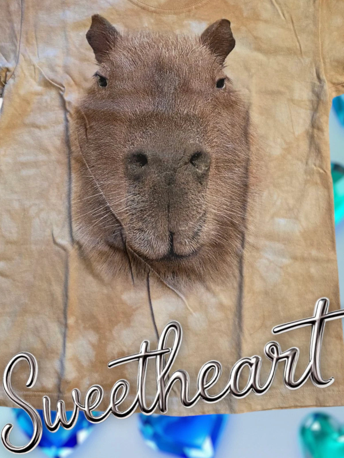 The mountain t shirt Kids'  size M new Capybara