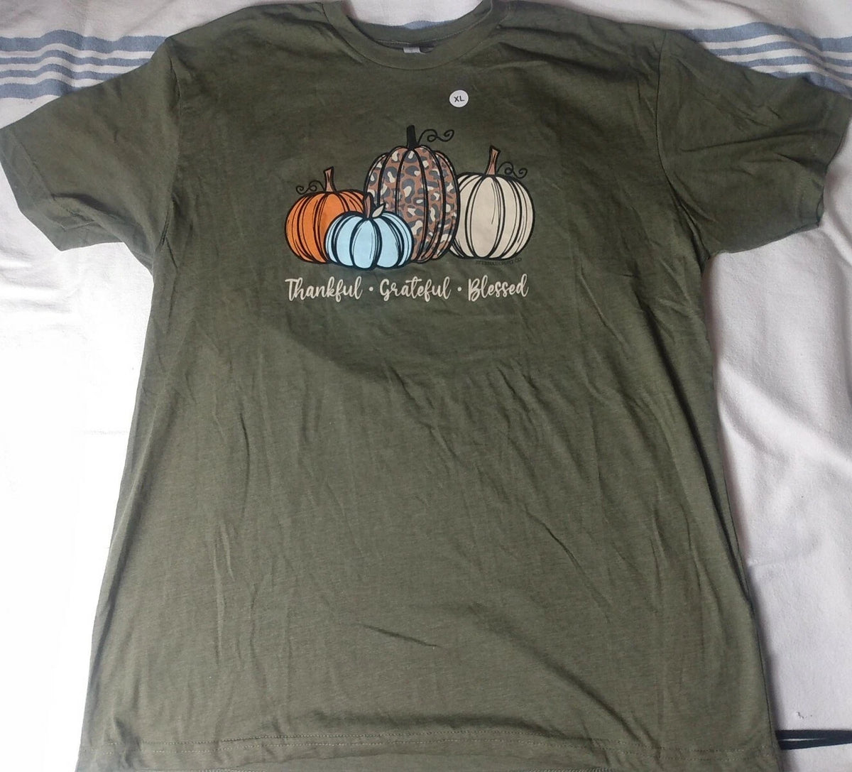Eternal Light Co. t-shirt green pumpkins thankful grateful blessed religious XL