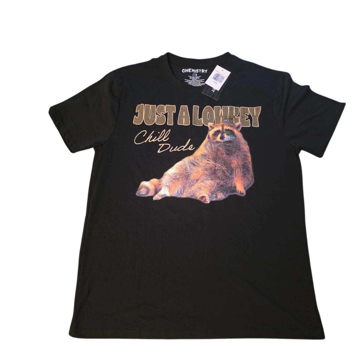 Chemistry Just A Lowkey Chill Dude T-Shirt Raccoon Graphic Funny Black Large NWT